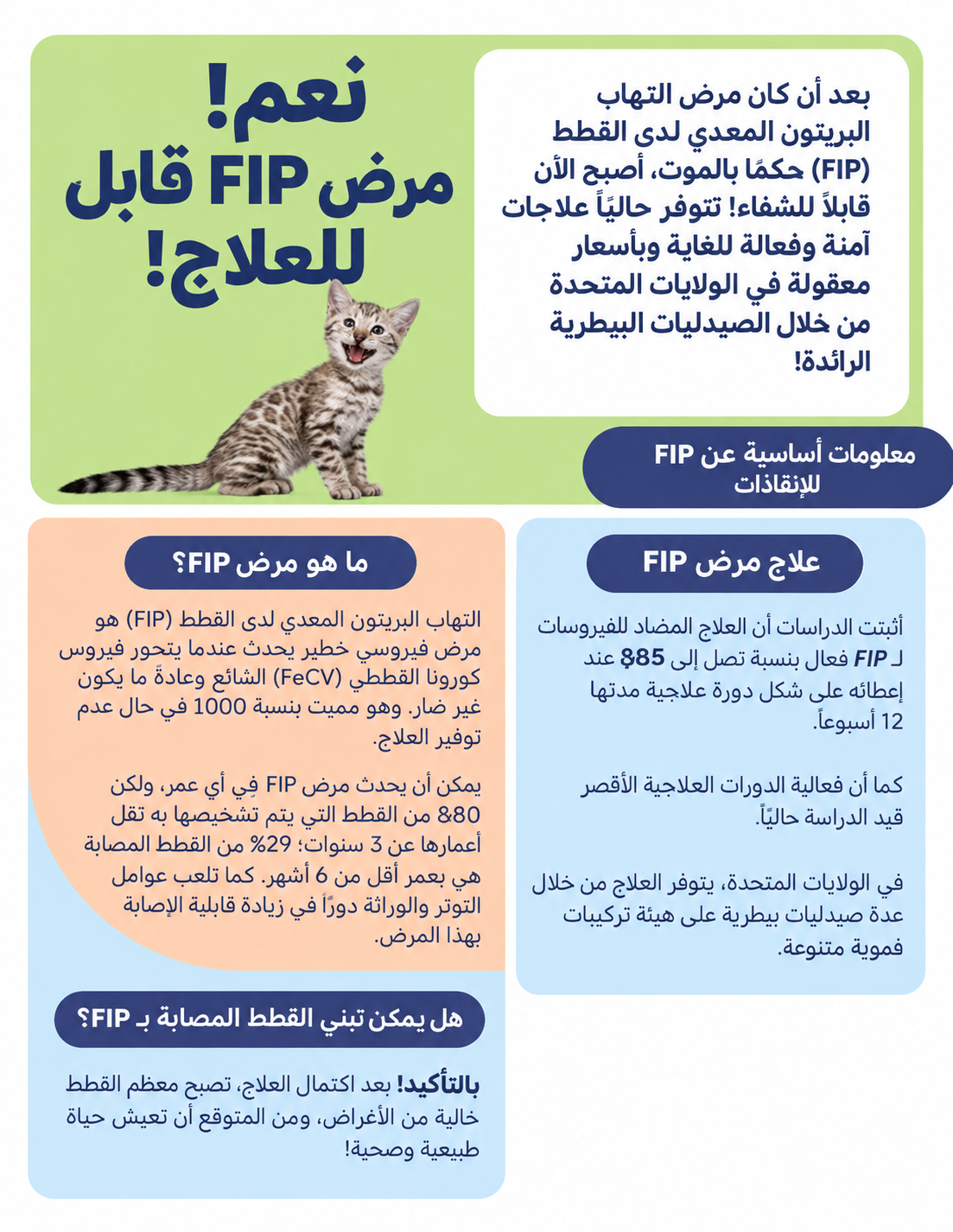 FIP 101
